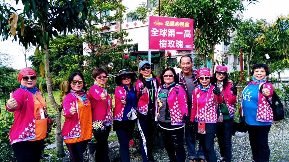 全球第一高樹玫瑰 全球第一高樹玫瑰
